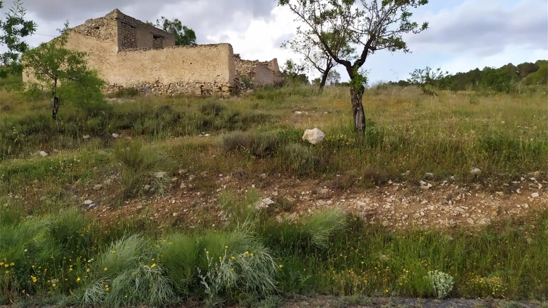 Country homes for sale in El Serval, Purchena Country homes for sale in Purchena