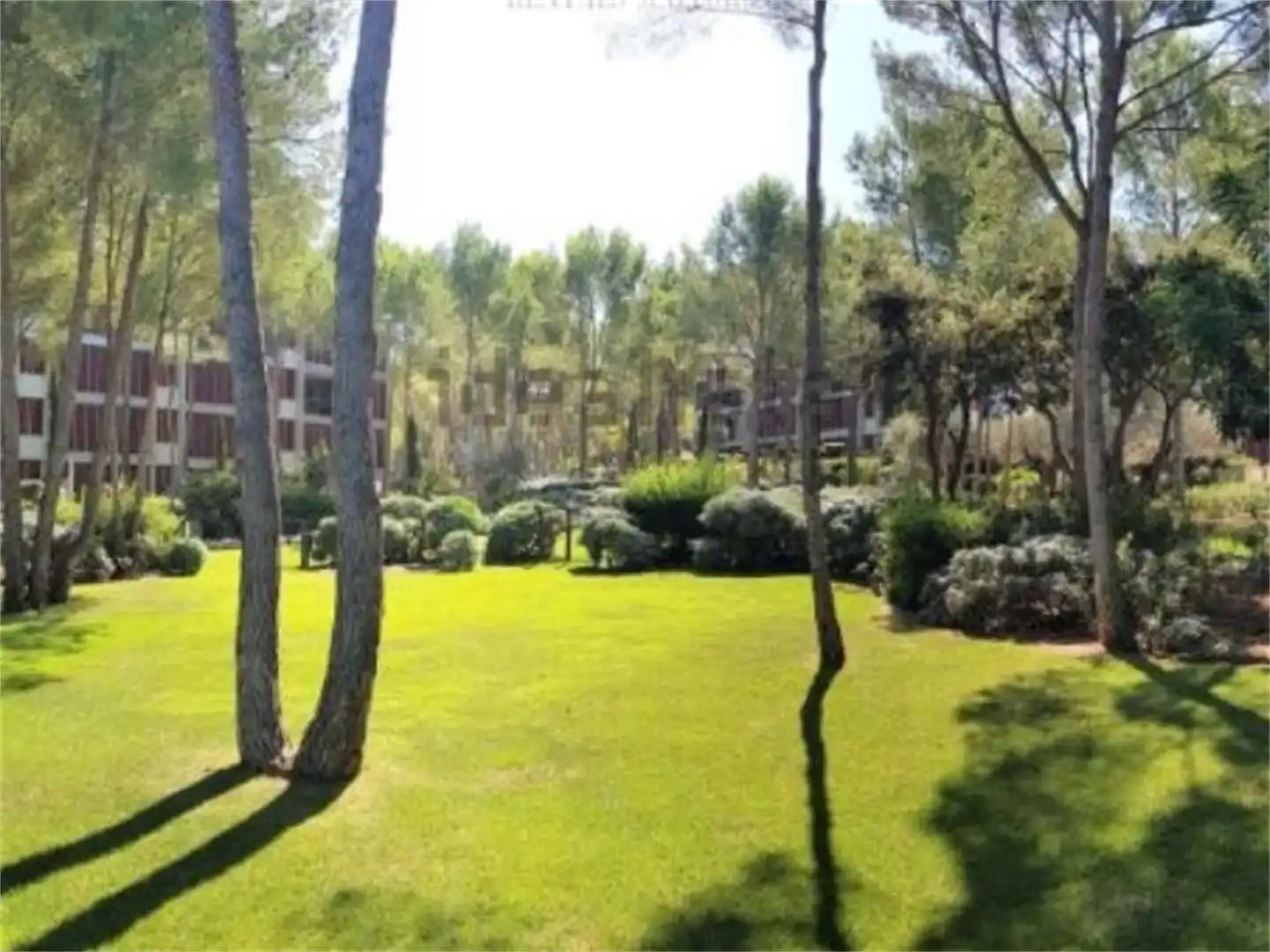 Dachboden zur Miete in Avinguda Rossegada, 18, Portals Nous Garten von Dachboden zur Miete in Calvià mit Klimaanlage, Privatgarten und Terrasse