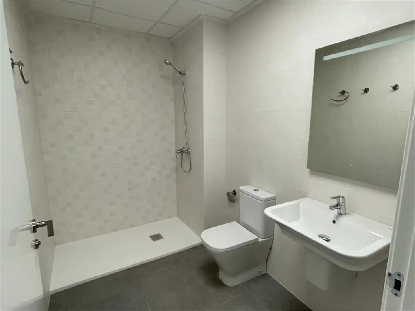 Baño de Local de alquiler en Almussafes