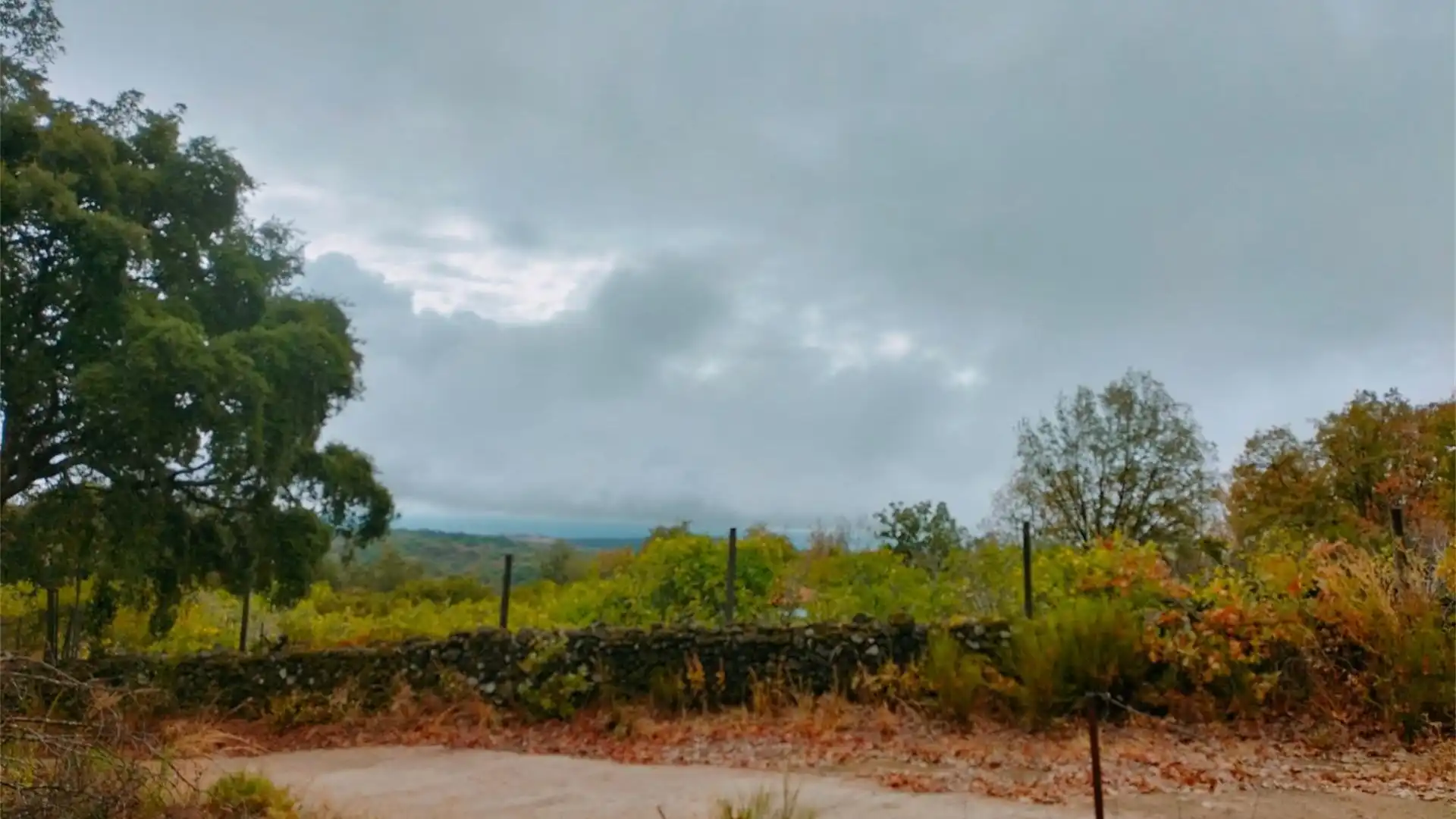 Terreno en venta en Torremenga