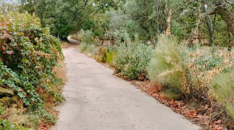 Terreno en venta en Torremenga, Cáceres - imagen 2 Foto 2 de Terreno en venta en Torremenga, Cáceres