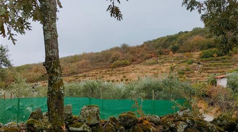 Terreno en venta en Torremenga, Cáceres - imagen 4 Foto 4 de Terreno en venta en Torremenga, Cáceres