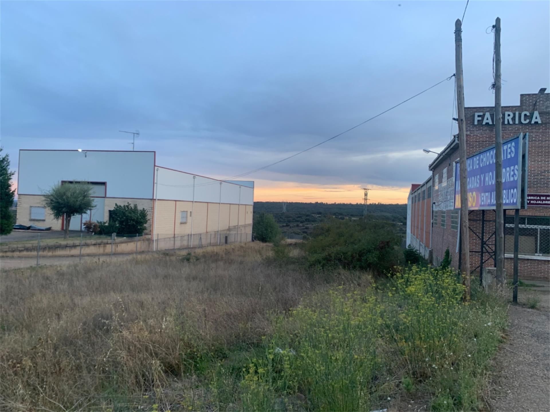 Industrial land for sale in Brazuelo