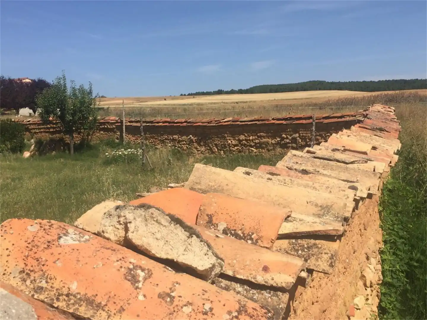 Terreno en venta en Aldehuela, 61, Bayubas de Abajo Terreno en venta en Bayubas de Abajo