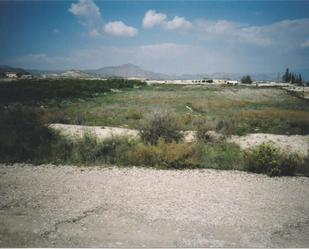 Land for sale in Ojós