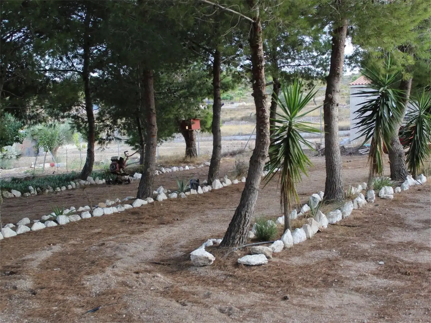 Casa o xalet en venda a Avenida de la Constitución, Hondón de los Frailes Jardí de Casa o xalet en venda en Hondón de los Frailes amb Aire condicionat, Calefacció i Jardí privat