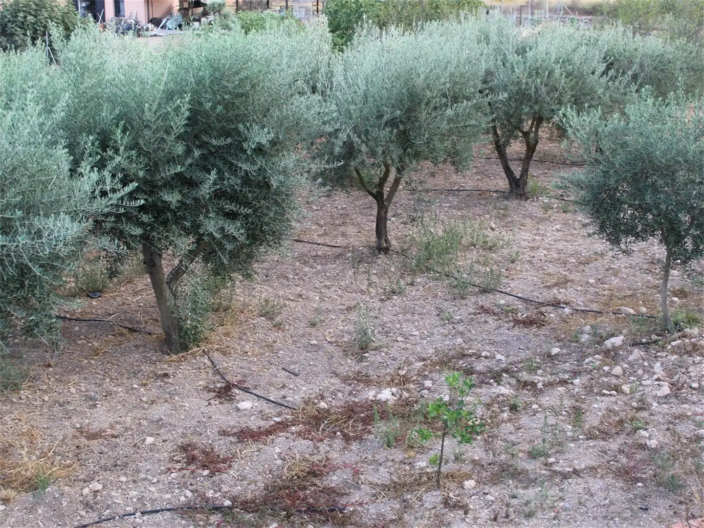 Casa o xalet en venda a Avenida de la Constitución, Hondón de los Frailes Casa o xalet en venda en Hondón de los Frailes amb Aire condicionat, Calefacció i Jardí privat