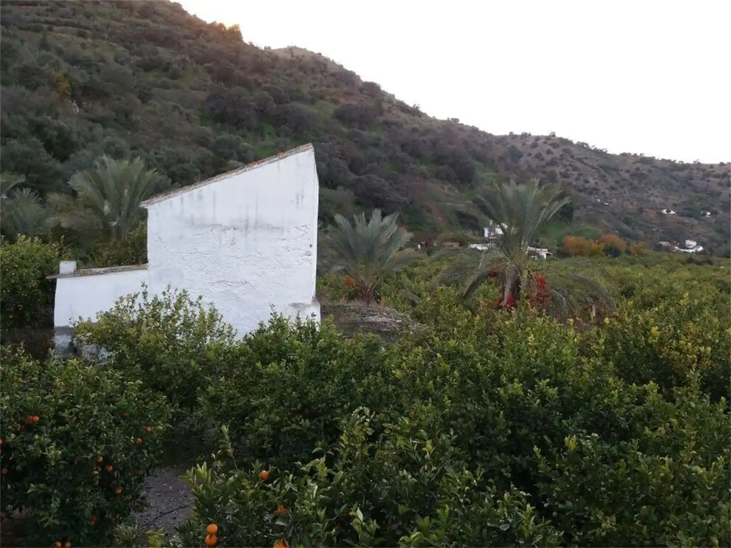 Country homes for sale in A-354, Pizarra Garden of Country homes for sale in Pizarra