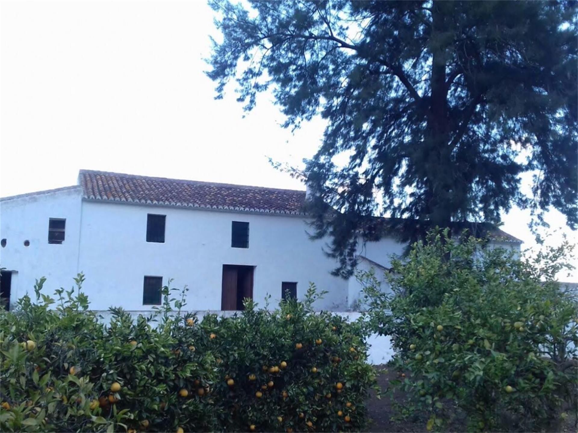 Exterior view of Country house for sale in Pizarra