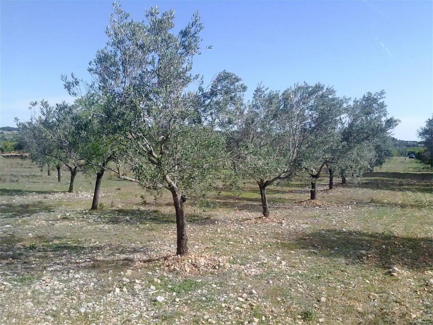 No Urbanitzable en venda a CV-422, Montroy No Urbanitzable en venda en Montroy