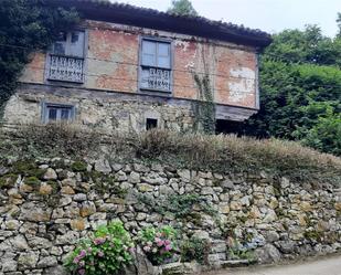 Vista exterior de Finca rústica en venda en Quirós