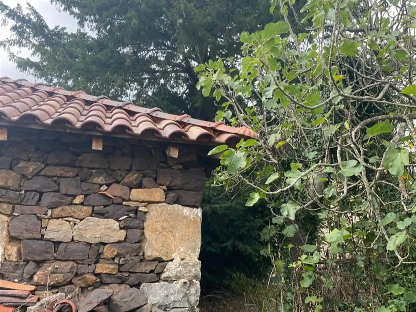 Finca rústica en venta en Castañera, Belmonte de Miranda Vista exterior de Finca rústica en venta en Belmonte de Miranda