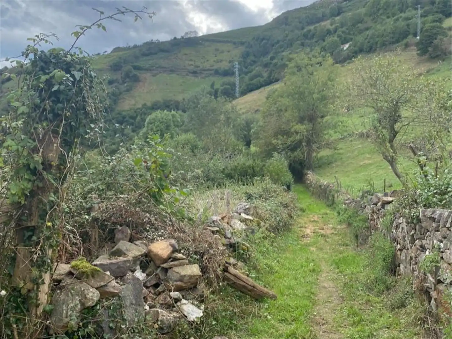 Finca rústica en venta en Castañera, Belmonte de Miranda Finca rústica en venta en Belmonte de Miranda