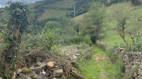 Country house for sale in Castañera, Belmonte de Miranda, Asturias - image 4 Photo 4 of Country house for sale in Castañera, Belmonte de Miranda, Asturias