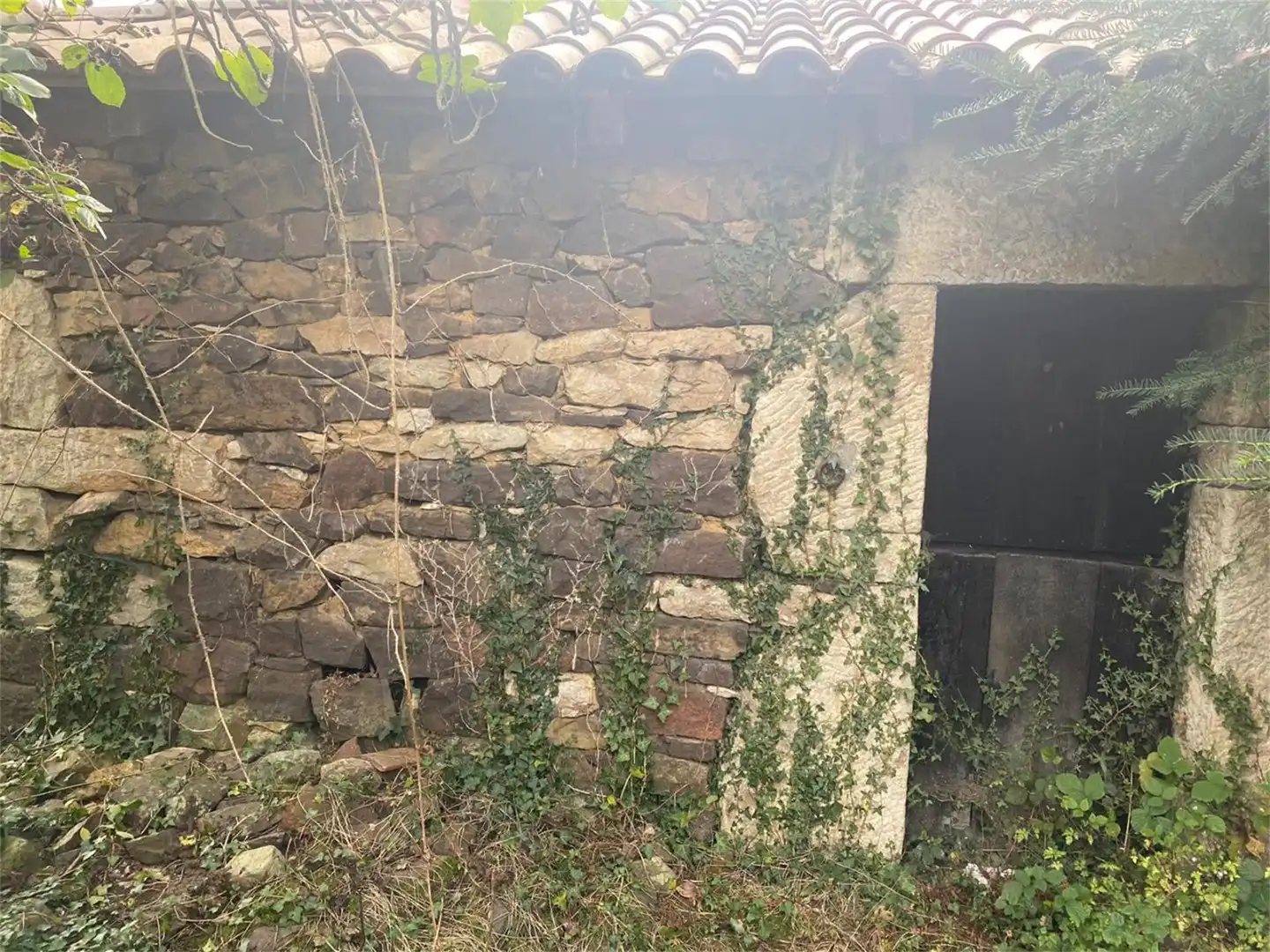 Finca rústica en venta en Castañera, Belmonte de Miranda Finca rústica en venta en Belmonte de Miranda