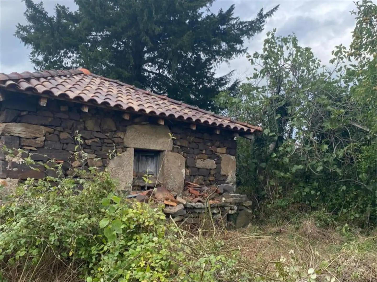Finca rústica en venta en Castañera, Belmonte de Miranda Vista exterior de Finca rústica en venta en Belmonte de Miranda