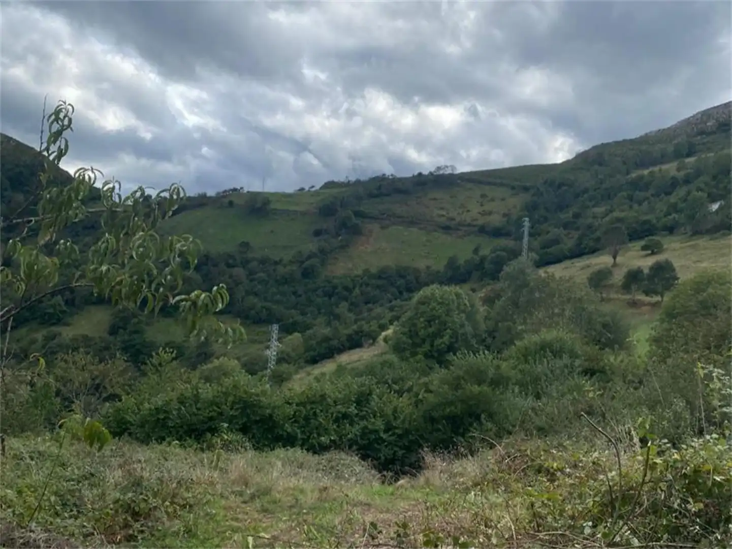 Finca rústica en venta en Castañera, Belmonte de Miranda Finca rústica en venta en Belmonte de Miranda