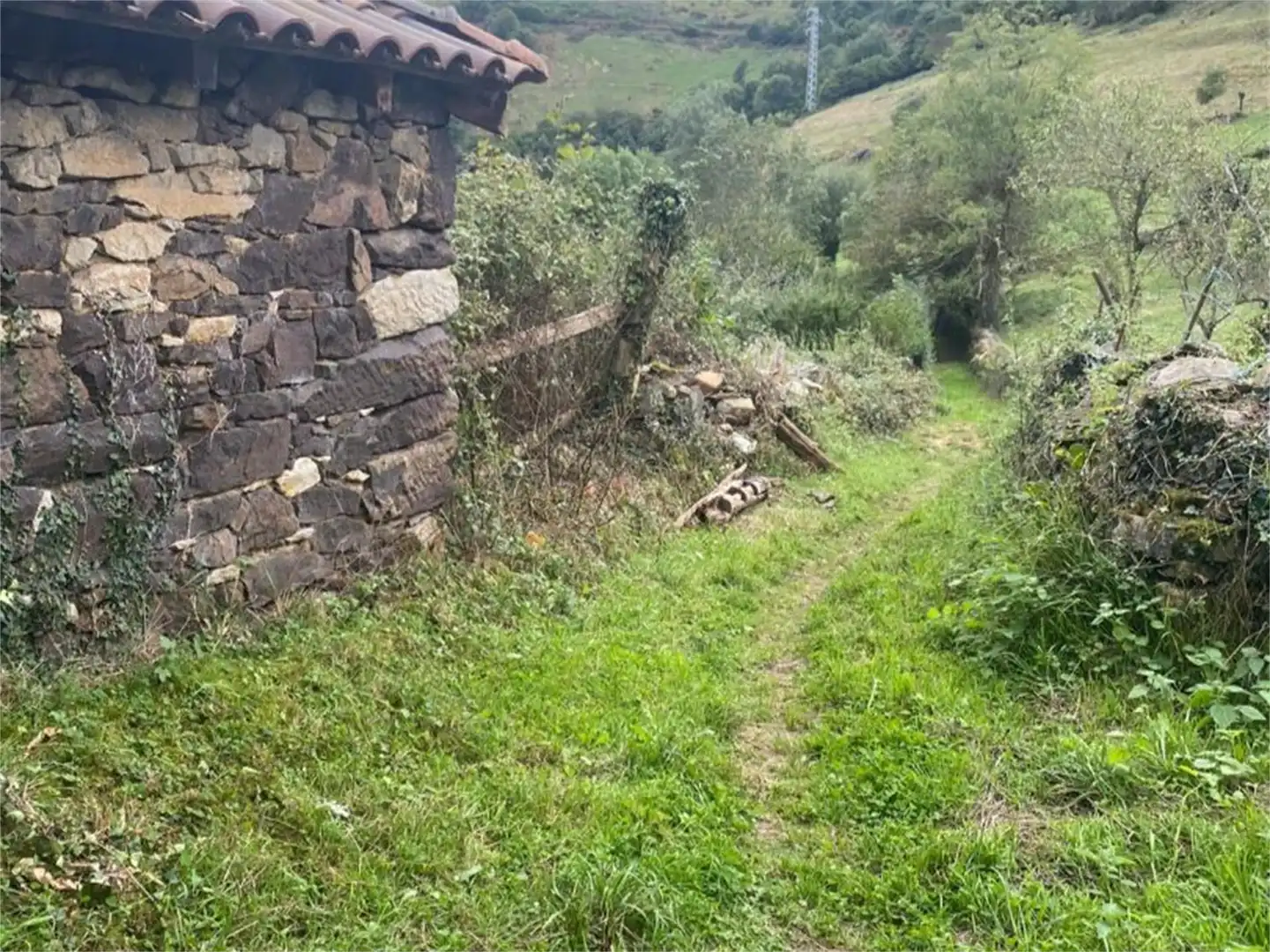 Finca rústica en venta en Castañera, Belmonte de Miranda Finca rústica en venta en Belmonte de Miranda