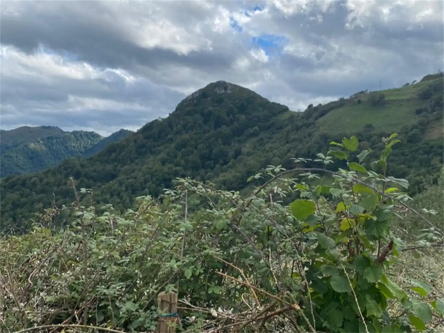 Finca rústica en venta en Castañera, Belmonte de Miranda Finca rústica en venta en Belmonte de Miranda