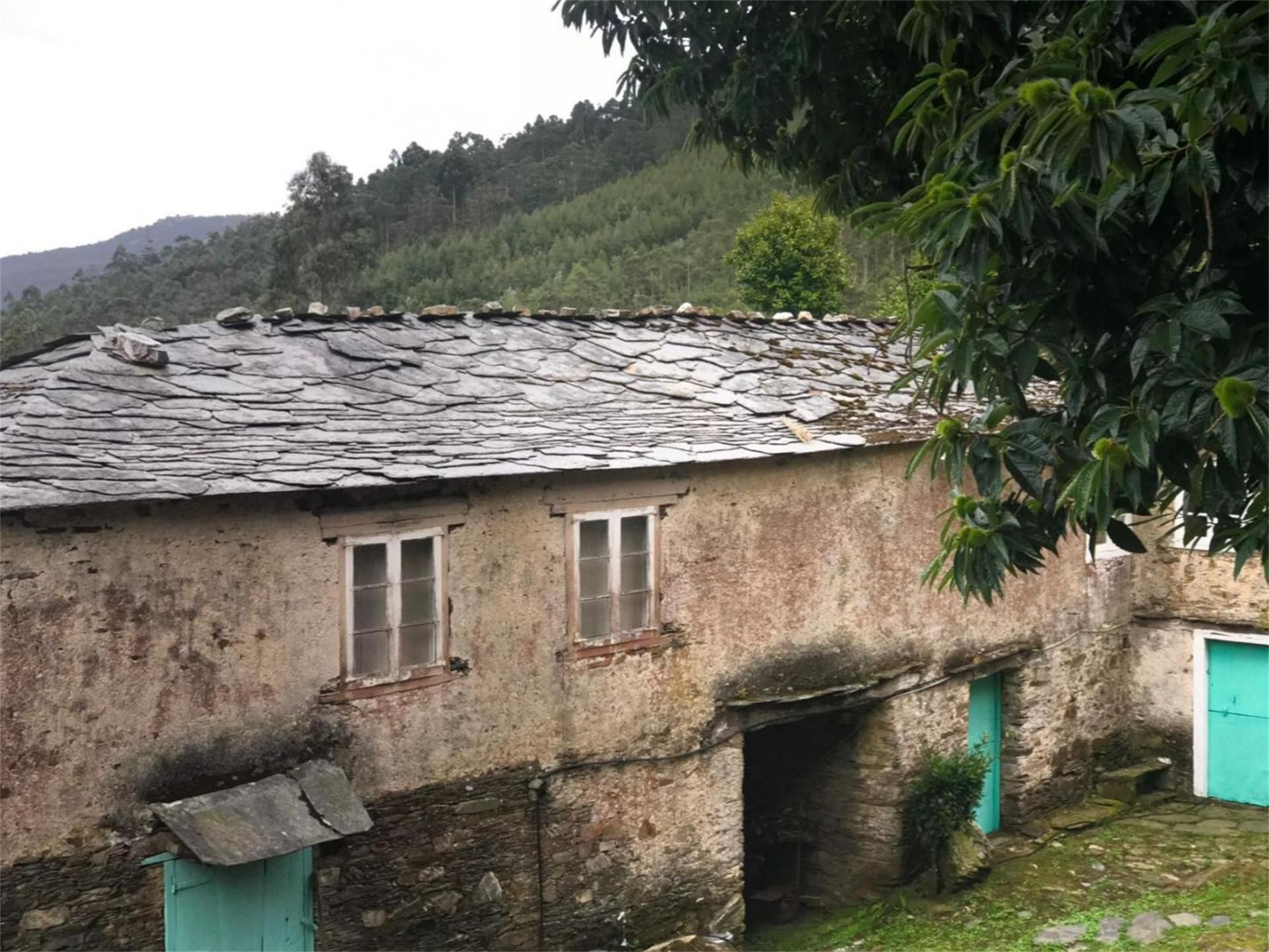 Exterior view of Country house for sale in Viveiro