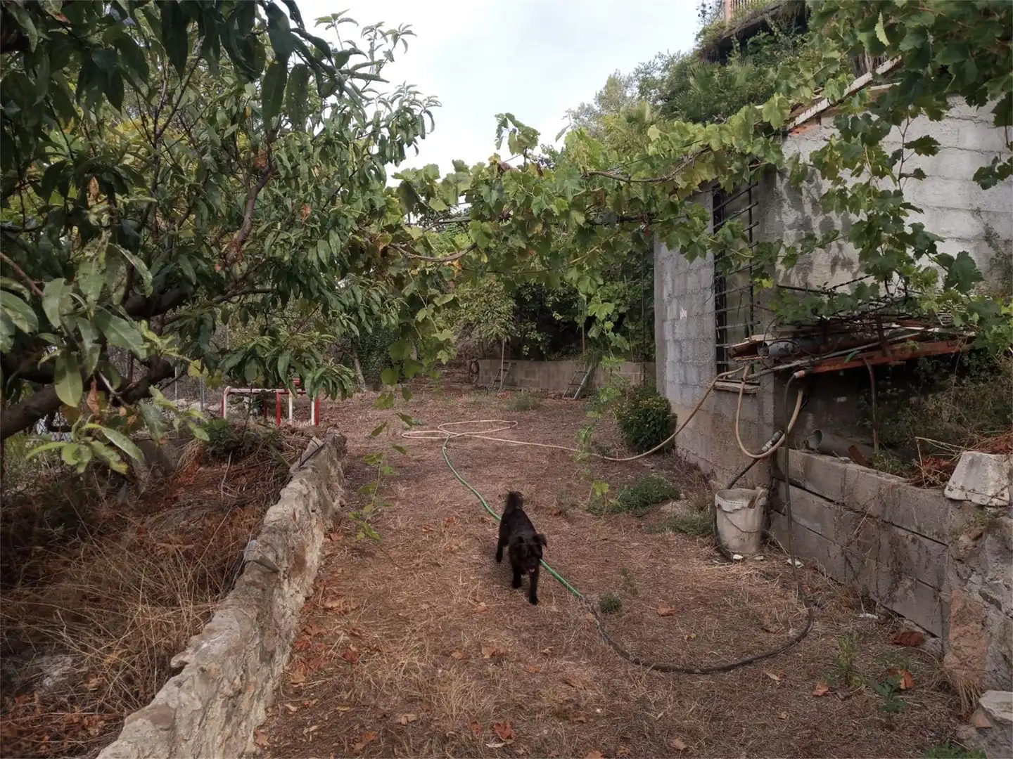 Casa o xalet en venda a Calle Castillo, Alcudia de Veo Casa o xalet en venda en Alcudia de Veo amb Calefacció, Jardí privat i Terrassa
