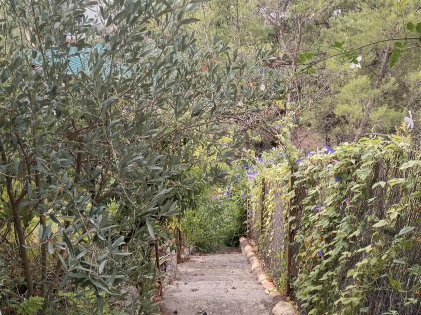 Casa o xalet en venda a Calle Castillo, Alcudia de Veo Jardí de Casa o xalet en venda en Alcudia de Veo amb Calefacció, Jardí privat i Terrassa