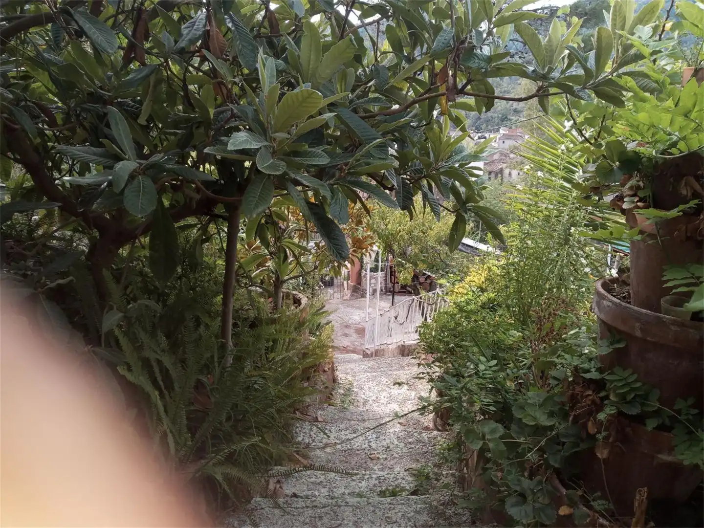 Casa o xalet en venda a Calle Castillo, Alcudia de Veo Jardí de Casa o xalet en venda en Alcudia de Veo amb Calefacció, Jardí privat i Terrassa