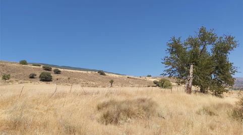 No Urbanitzable en venda a Bérchules, Granada - imatge 5 Foto 5 de No Urbanitzable en venda a Bérchules, Granada