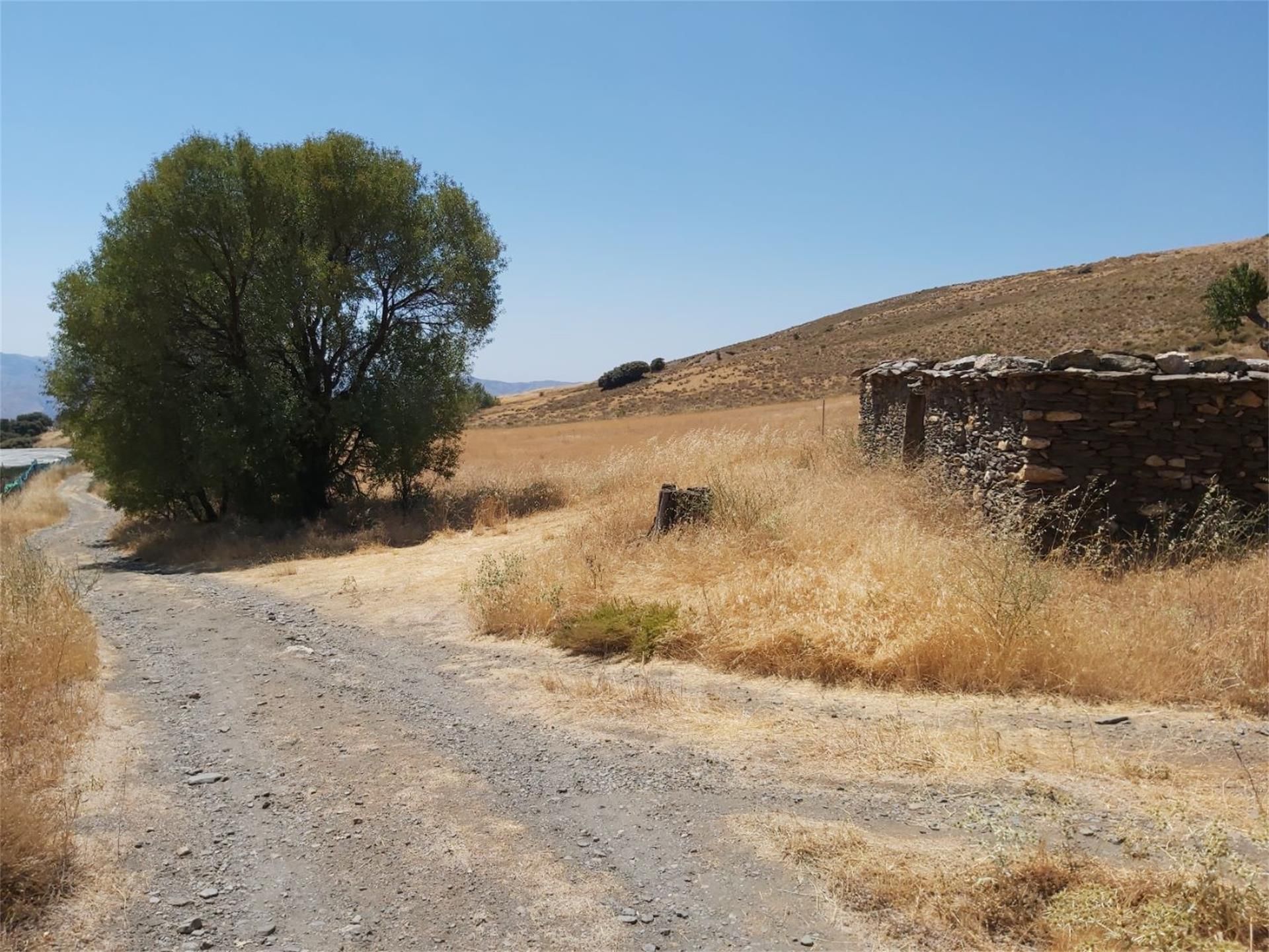 No Urbanitzable en venda en Bérchules