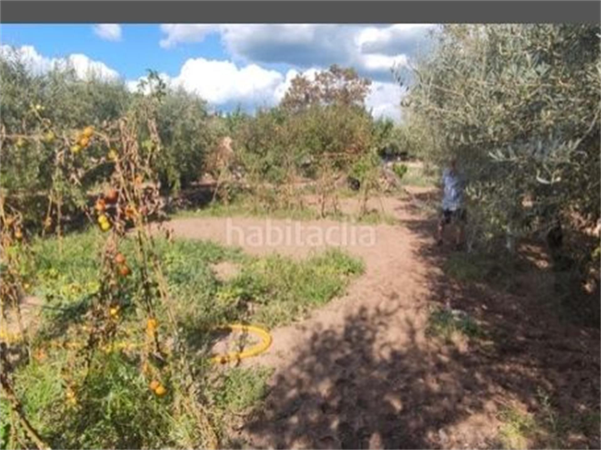 Constructible Land for sale in Alforja