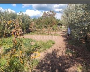 Constructible Land for sale in Alforja