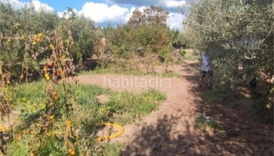 Bebaubares Gelände zum Verkauf in Urbanització Portugal, 97, Alforja, Tarragona - Bild 1 Foto 1 von Bebaubares Gelände zum Verkauf in Urbanització Portugal, 97, Alforja, Tarragona