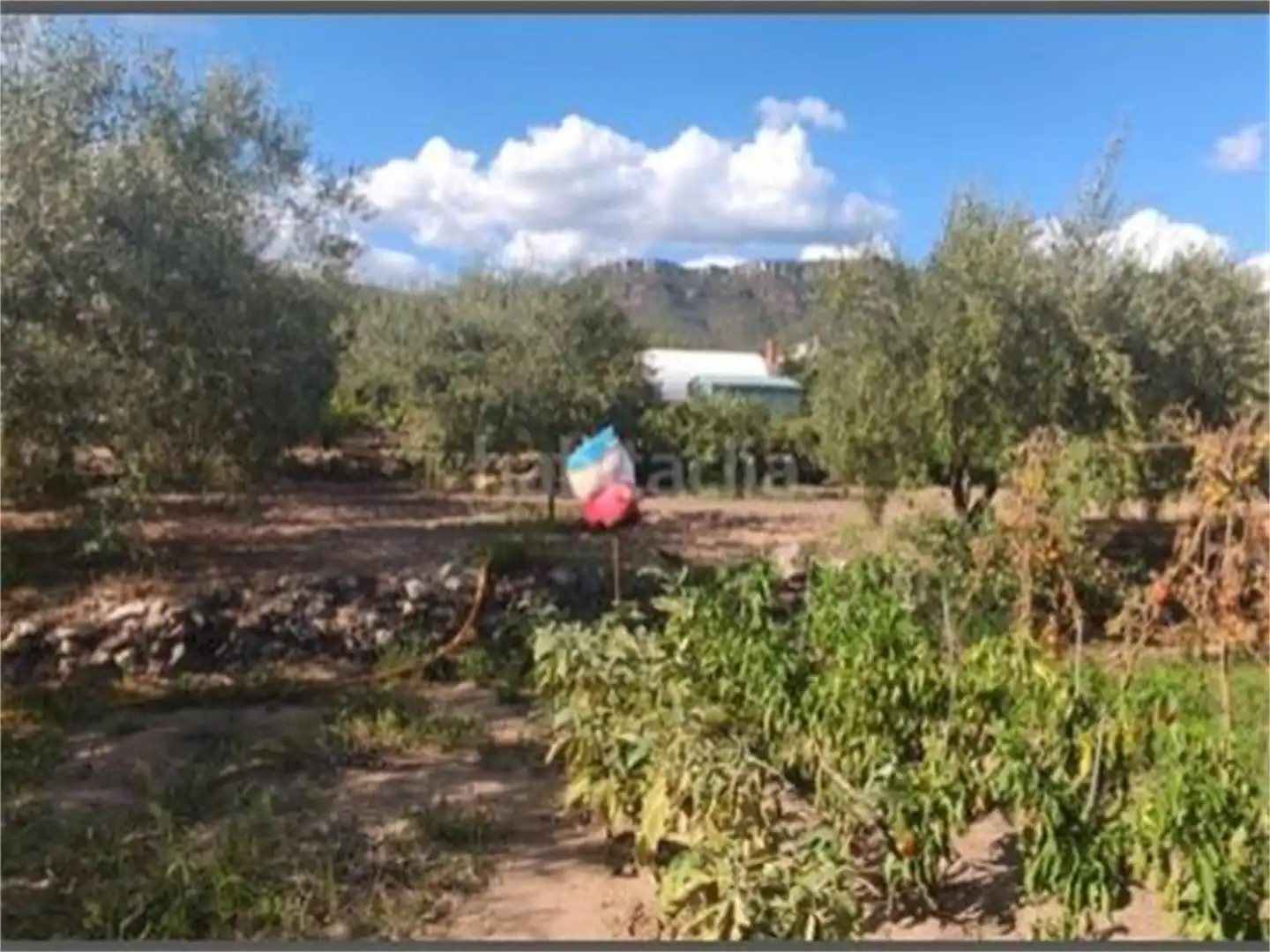 Urbanizable en venta en Urbanització Portugal, 97, Alforja Urbanizable en venta en Alforja