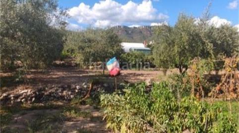 Bebaubares Gelände zum Verkauf in Urbanització Portugal, 97, Alforja, Tarragona - Bild 2 Foto 2 von Bebaubares Gelände zum Verkauf in Urbanització Portugal, 97, Alforja, Tarragona