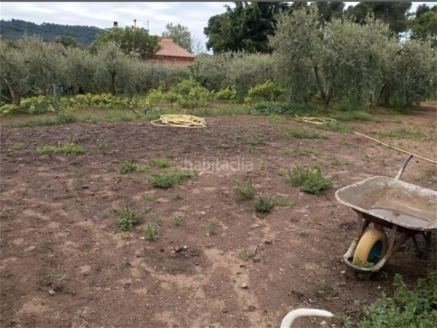 Urbanizable en venta en Urbanització Portugal, 97, Alforja Urbanizable en venta en Alforja