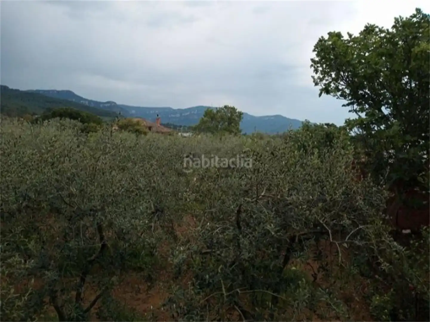 Urbanizable en venta en Urbanització Portugal, 97, Alforja Urbanizable en venta en Alforja