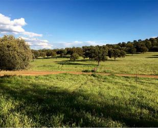 Country house for sale in Almodóvar del Campo