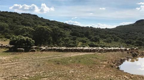 Photo 4 of Country house for sale in Cm-4115, Almodóvar del Campo, Ciudad Real