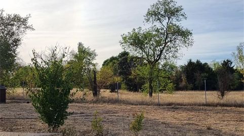 Land for sale in Camino Castaño, Villar de Cañas, Cuenca - image 2 Photo 2 of Land for sale in Camino Castaño, Villar de Cañas, Cuenca