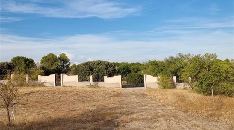 Land for sale in Camino Castaño, Villar de Cañas, Cuenca - image 3 Photo 3 of Land for sale in Camino Castaño, Villar de Cañas, Cuenca