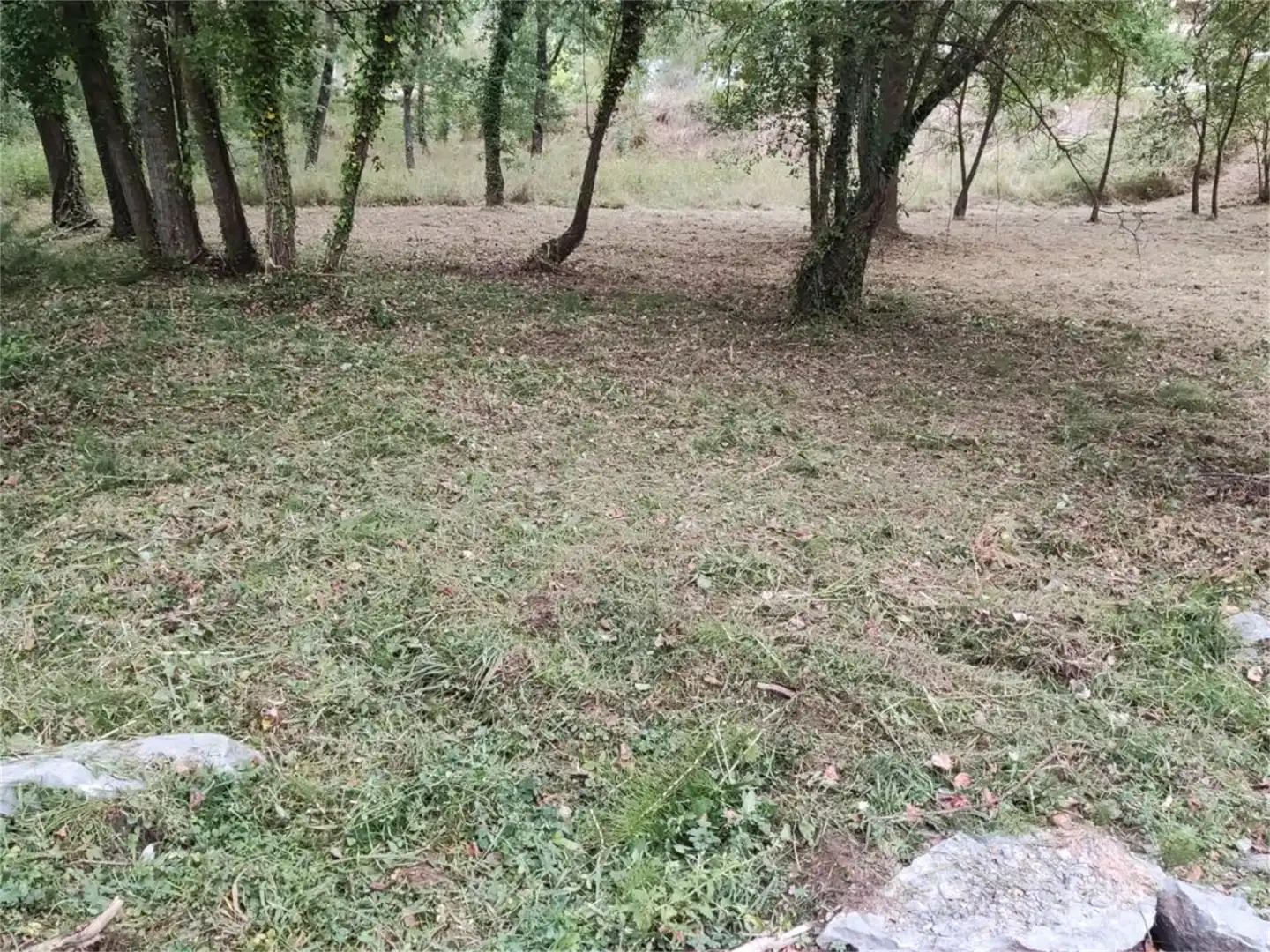 Constructible Land for sale in Passeig Guilleries, Viladrau Constructible Land for sale in Viladrau