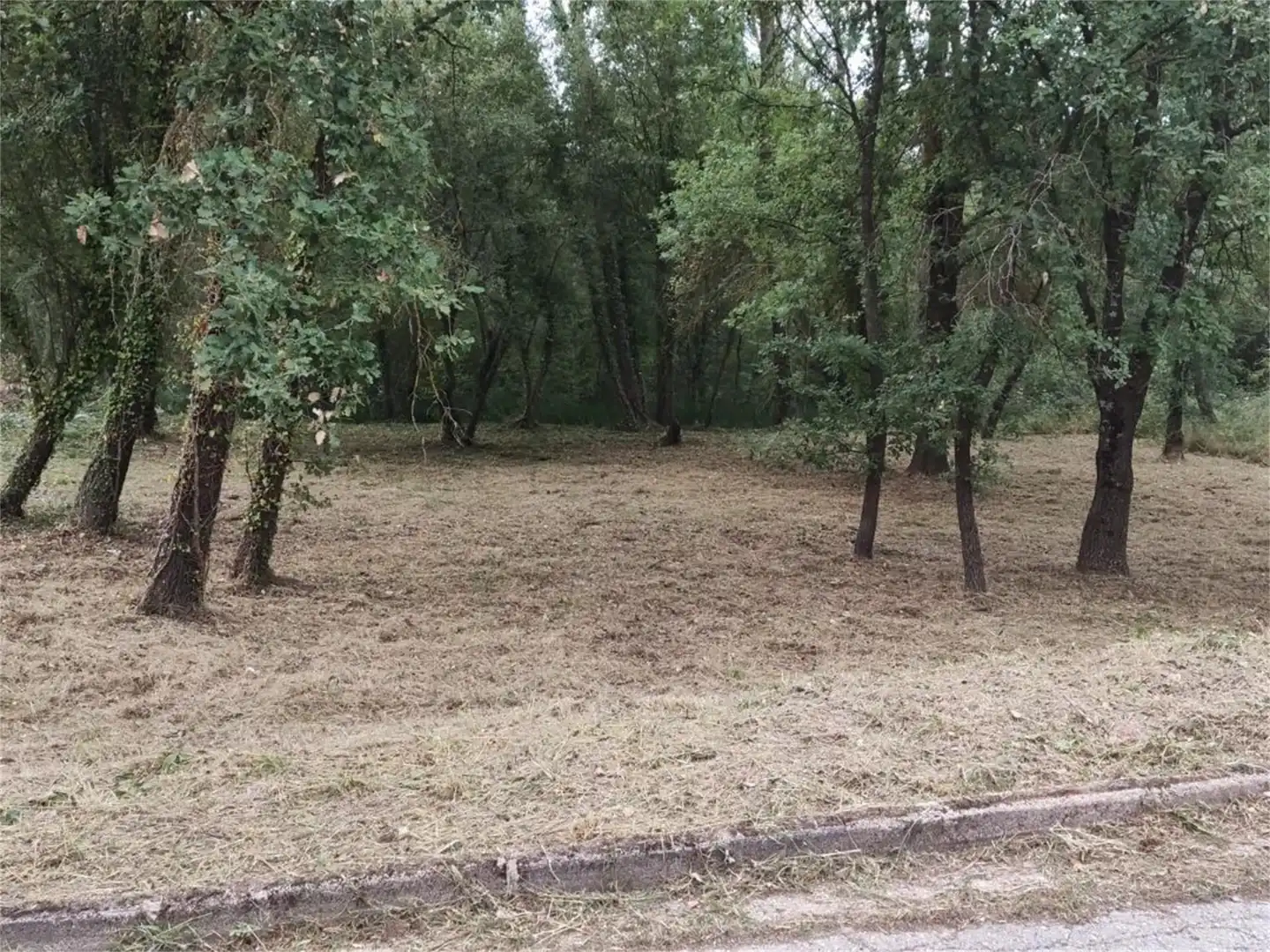 Constructible Land for sale in Passeig Guilleries, Viladrau Constructible Land for sale in Viladrau