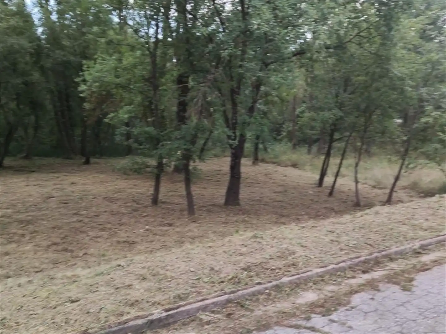 Constructible Land for sale in Passeig Guilleries, Viladrau Constructible Land for sale in Viladrau