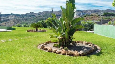 Country house to rent in Calle Iznate, Benamocarra, Málaga - image 2 Photo 2 of Country house to rent in Calle Iznate, Benamocarra, Málaga