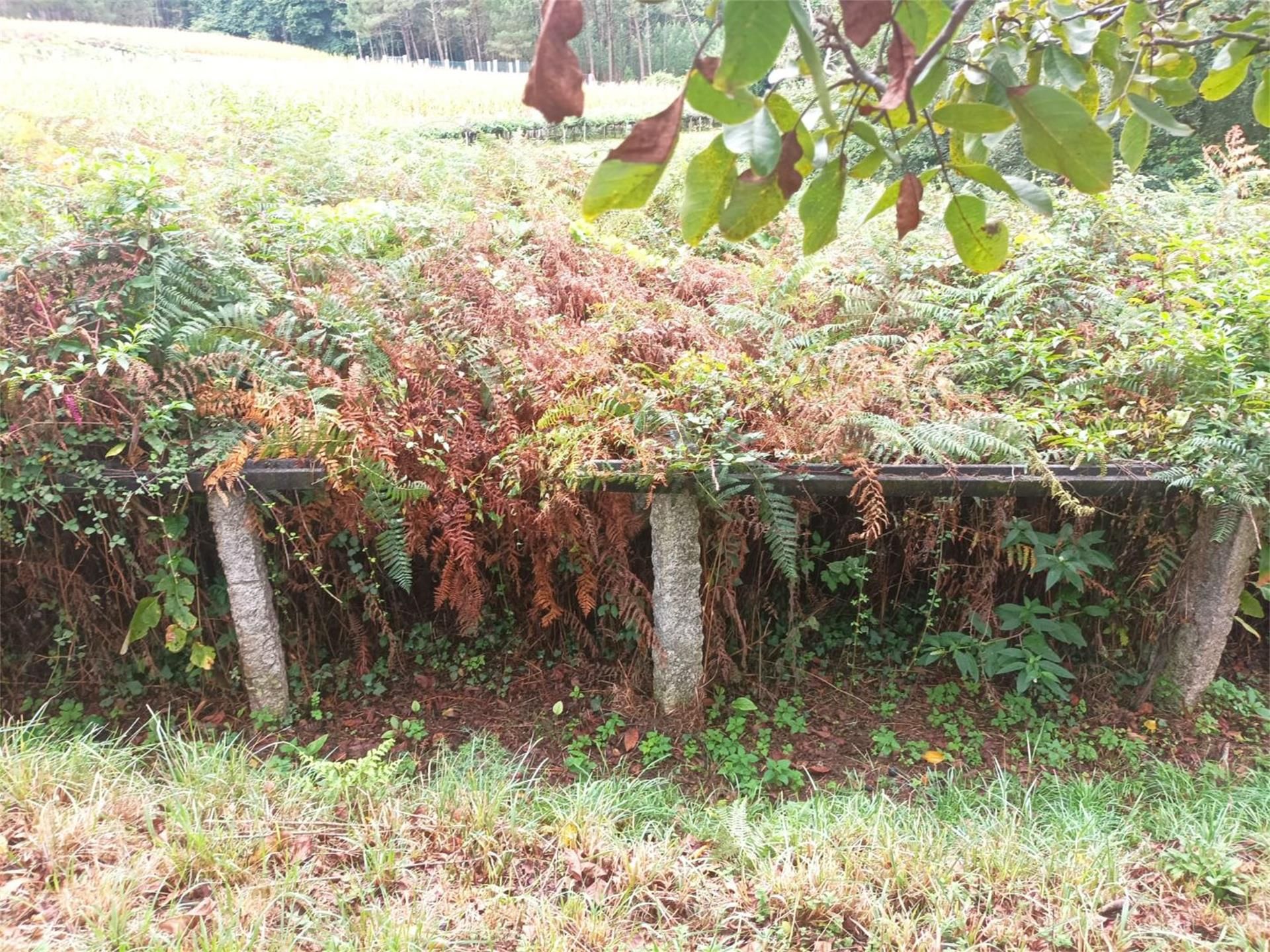 No Urbanitzable en venda en Marín