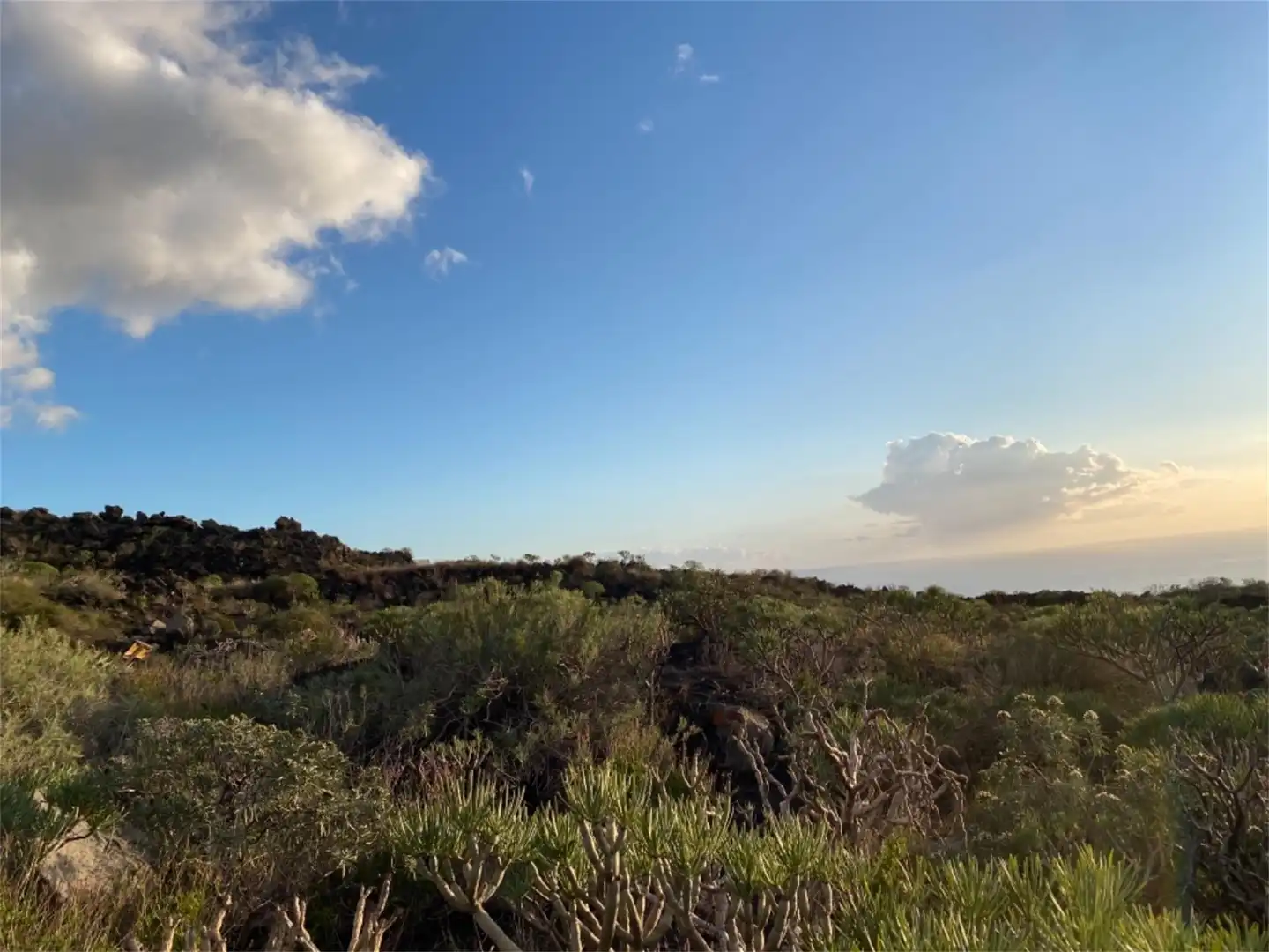 Vista exterior de Terreno en venta en Los Llanos de Aridane