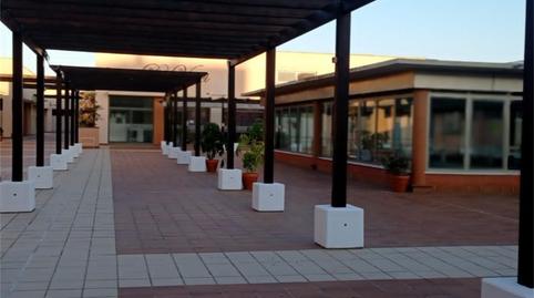 Premises to rent in Carretera de la Barrosa, La Barrosa, Cádiz - image 3 Photo 3 of Premises to rent in Carretera de la Barrosa, La Barrosa, Cádiz