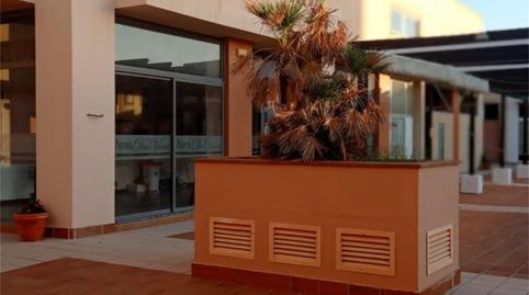 Premises to rent in Carretera de la Barrosa, La Barrosa, Cádiz - image 2 Photo 2 of Premises to rent in Carretera de la Barrosa, La Barrosa, Cádiz