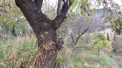 Foto 5 de Terreny en venda a Cv-70, Confrides, Alicante