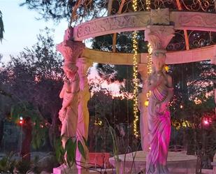 Jardí de Casa o xalet de lloguer en  Albacete Capital amb Aire condicionat, Terrassa i Piscina